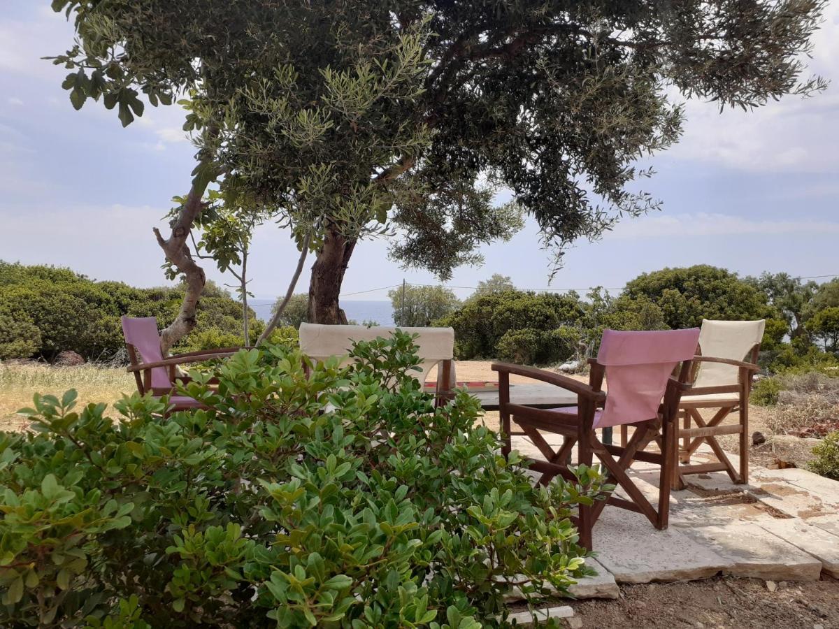 Masticha Village Apartments & Studios Monolia 외부 사진