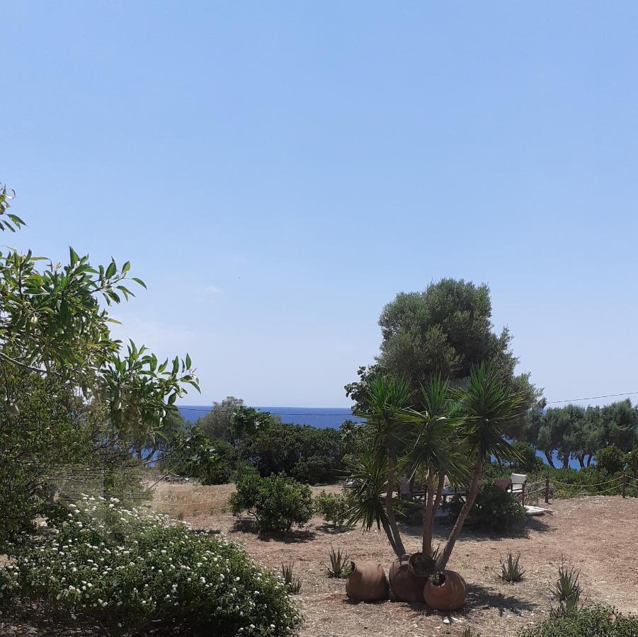 Masticha Village Apartments & Studios Monolia 외부 사진